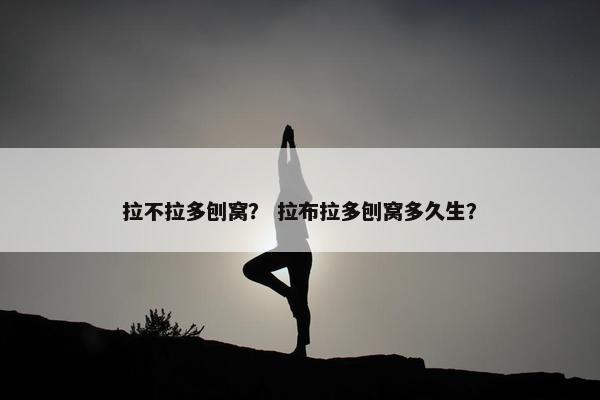 拉不拉多刨窝？ 拉布拉多刨窝多久生？