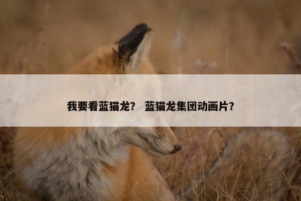 我要看蓝猫龙？ 蓝猫龙集团动画片？