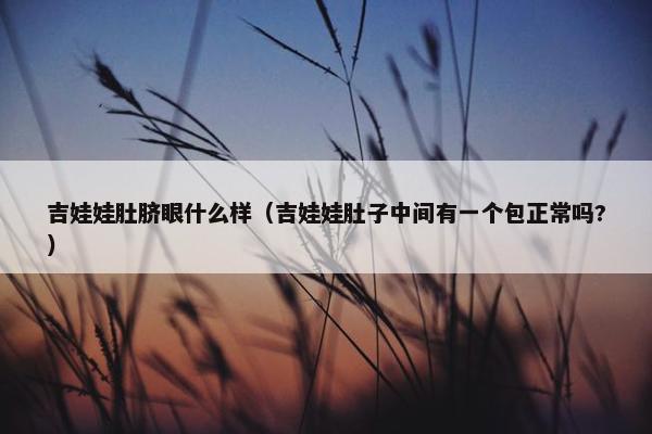 吉娃娃肚脐眼什么样（吉娃娃肚子中间有一个包正常吗?）