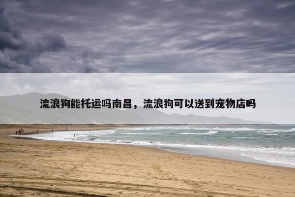 流浪狗能托运吗南昌，流浪狗可以送到宠物店吗