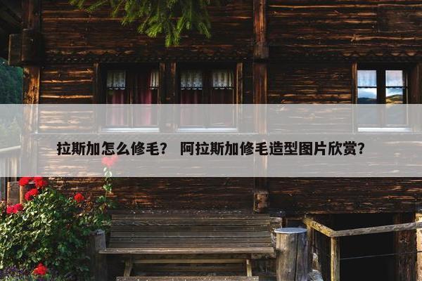 拉斯加怎么修毛？ 阿拉斯加修毛造型图片欣赏？