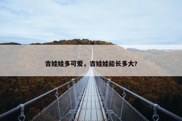 吉娃娃多可爱，吉娃娃能长多大?