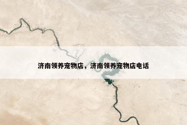 济南领养宠物店，济南领养宠物店电话