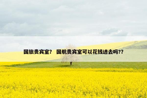 国旅贵宾室？ 国航贵宾室可以花钱进去吗?？