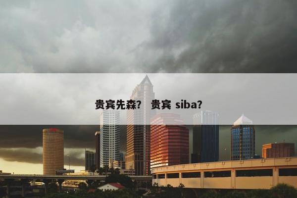 贵宾先森？ 贵宾 siba？