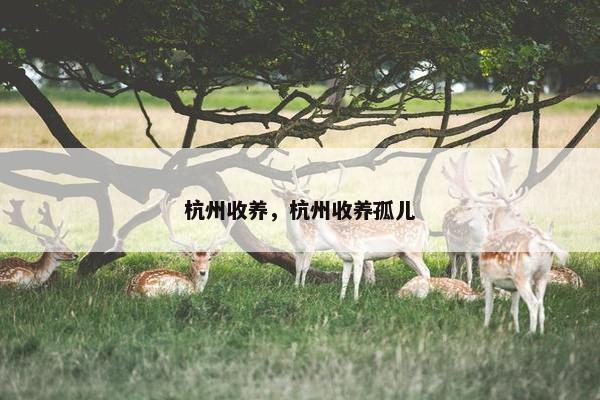 杭州收养，杭州收养孤儿