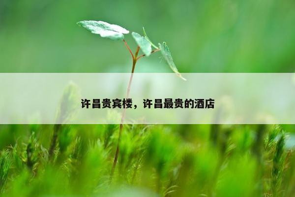 许昌贵宾楼，许昌最贵的酒店