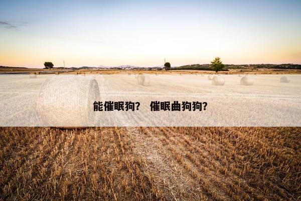 能催眠狗？ 催眠曲狗狗？