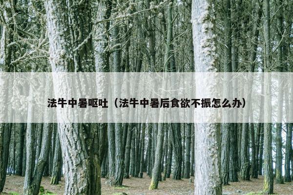 法牛中暑呕吐（法牛中暑后食欲不振怎么办）