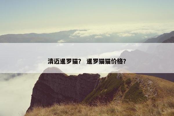 清迈暹罗猫？ 暹罗猫猫价格？