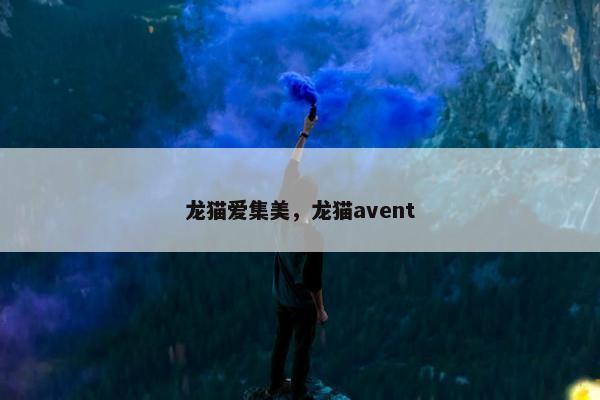 龙猫爱集美，龙猫avent