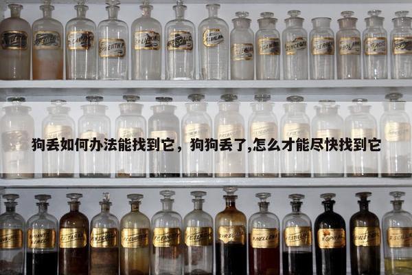 狗丢如何办法能找到它，狗狗丢了,怎么才能尽快找到它