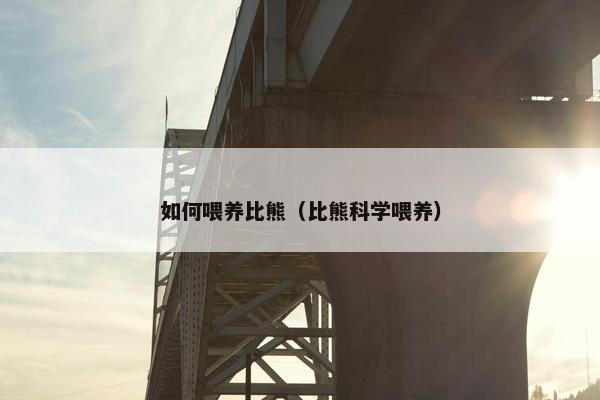如何喂养比熊（比熊科学喂养）