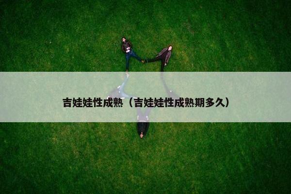 吉娃娃性成熟（吉娃娃性成熟期多久）