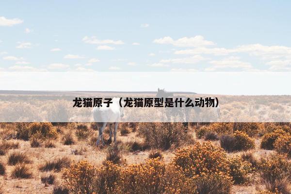 龙猫原子（龙猫原型是什么动物）