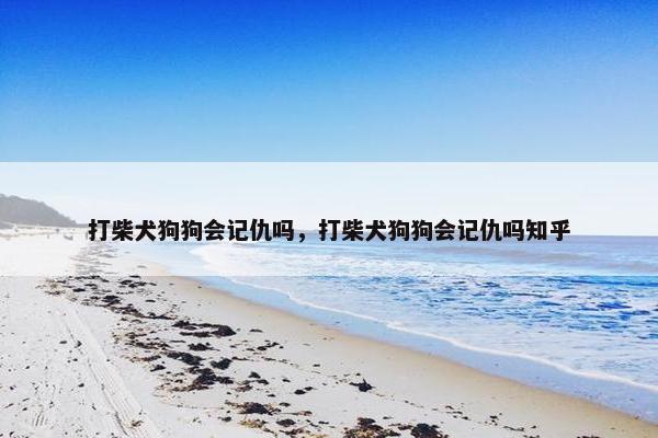 打柴犬狗狗会记仇吗，打柴犬狗狗会记仇吗知乎