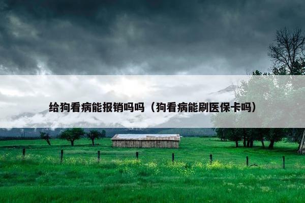 给狗看病能报销吗吗（狗看病能刷医保卡吗）