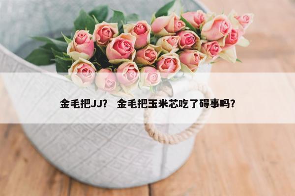 金毛把JJ？ 金毛把玉米芯吃了碍事吗？