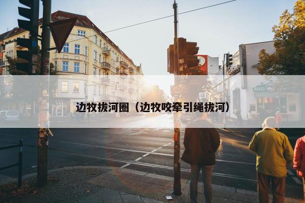 边牧拔河圈（边牧咬牵引绳拔河）