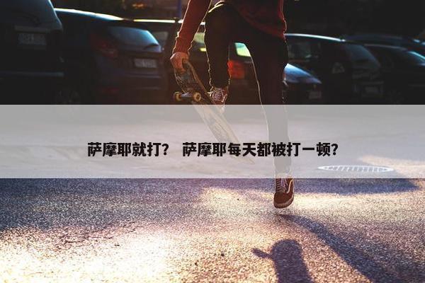 萨摩耶就打？ 萨摩耶每天都被打一顿？