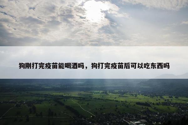 狗刚打完疫苗能喝酒吗，狗打完疫苗后可以吃东西吗