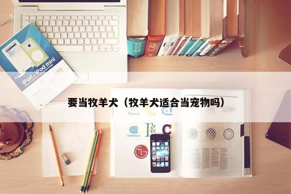 要当牧羊犬（牧羊犬适合当宠物吗）