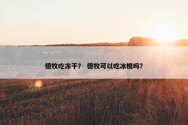 德牧吃冻干? 德牧可以吃冰棍吗?