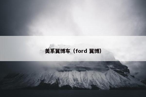 美系翼博车（ford 翼博）