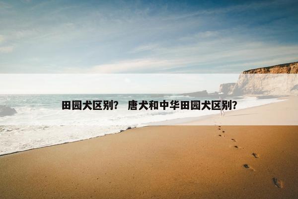 田园犬区别？ 唐犬和中华田园犬区别？