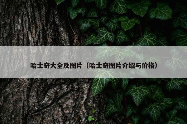 哈士奇大全及图片（哈士奇图片介绍与价格）