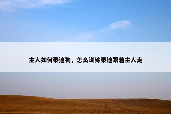 主人如何泰迪狗，怎么训练泰迪跟着主人走