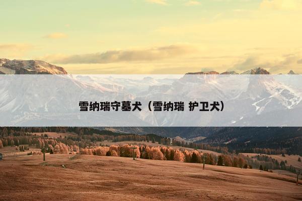 雪纳瑞守墓犬（雪纳瑞 护卫犬）