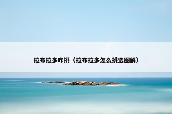 拉布拉多咋挑（拉布拉多怎么挑选图解）