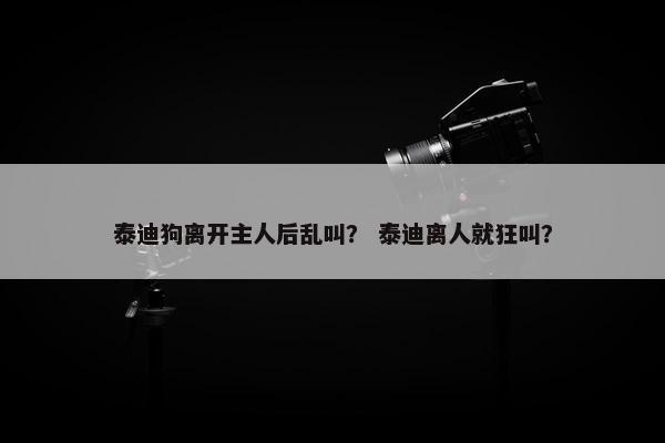 泰迪狗离开主人后乱叫？ 泰迪离人就狂叫？