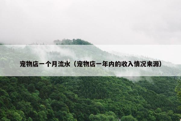 宠物店一个月流水(宠物店一年内的收入情况来源)