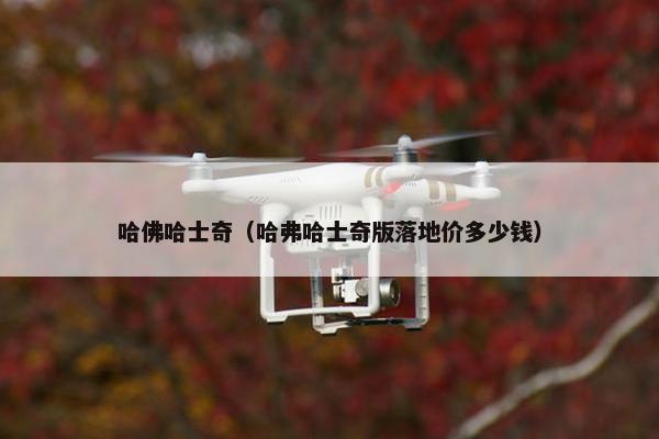 哈佛哈士奇(哈弗哈士奇版落地价多少钱)