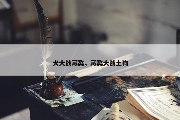 犬大战藏獒，藏獒大战土狗