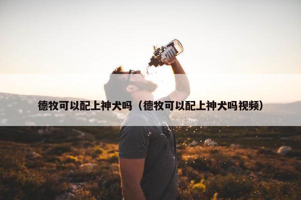 德牧可以配上神犬吗（德牧可以配上神犬吗视频）