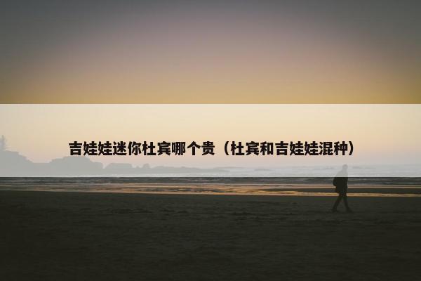 吉娃娃迷你杜宾哪个贵（杜宾和吉娃娃混种）