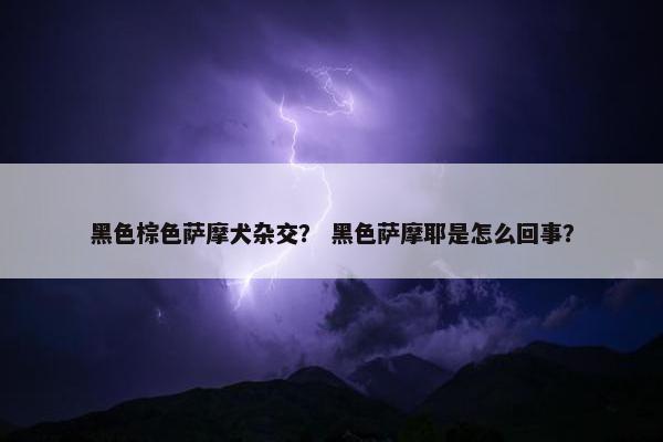 黑色棕色萨摩犬杂交？ 黑色萨摩耶是怎么回事？