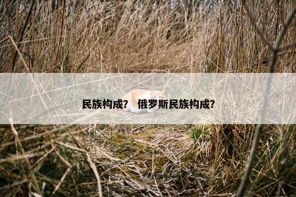 民族构成? 俄罗斯民族构成?