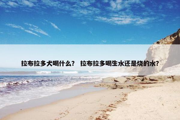 拉布拉多犬喝什么？ 拉布拉多喝生水还是烧的水？