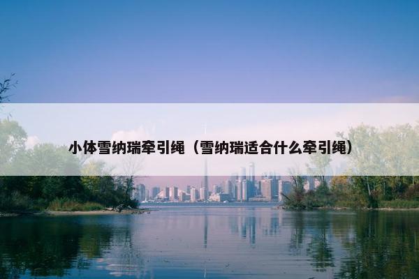 小体雪纳瑞牵引绳（雪纳瑞适合什么牵引绳）