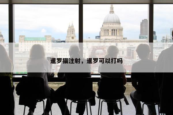 暹罗猫注射，暹罗可以打吗