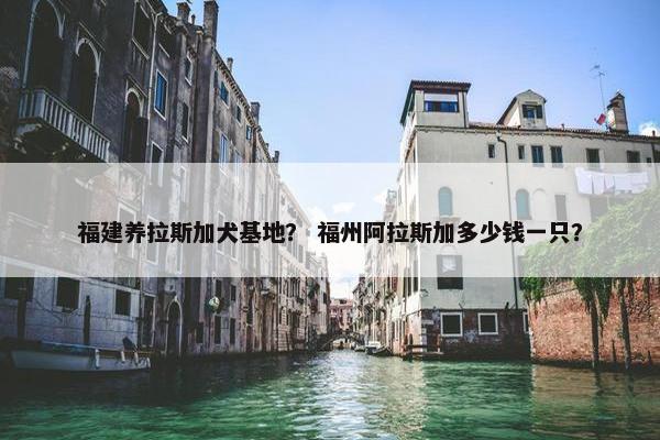 福建养拉斯加犬基地？ 福州阿拉斯加多少钱一只？