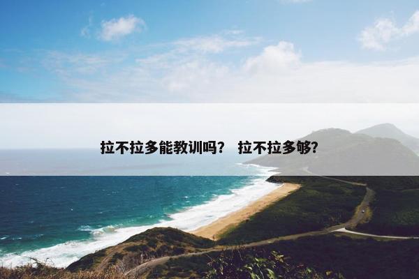 拉不拉多能教训吗？ 拉不拉多够？