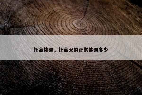 杜高体温，杜高犬的正常体温多少