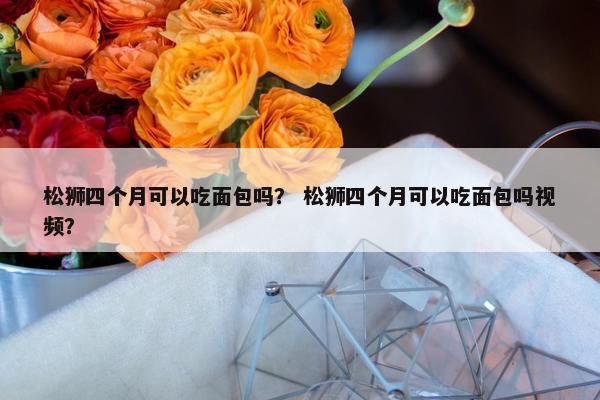 松狮四个月可以吃面包吗? 松狮四个月可以吃面包吗视频?