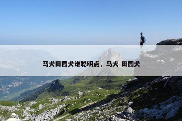 马犬田园犬谁聪明点，马犬 田园犬