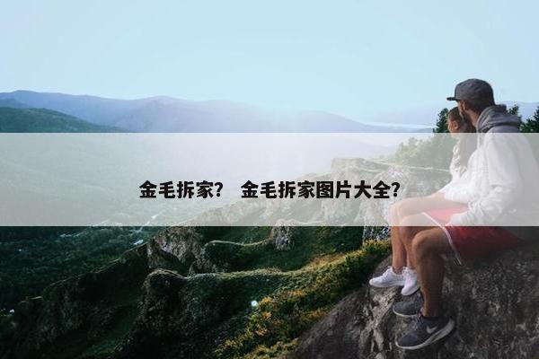 金毛拆家? 金毛拆家图片大全?